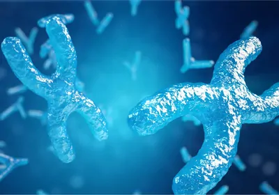 Blue 3D illustration of X-shaped chromosomes Blue 3D illustration of X-shaped chromosomes